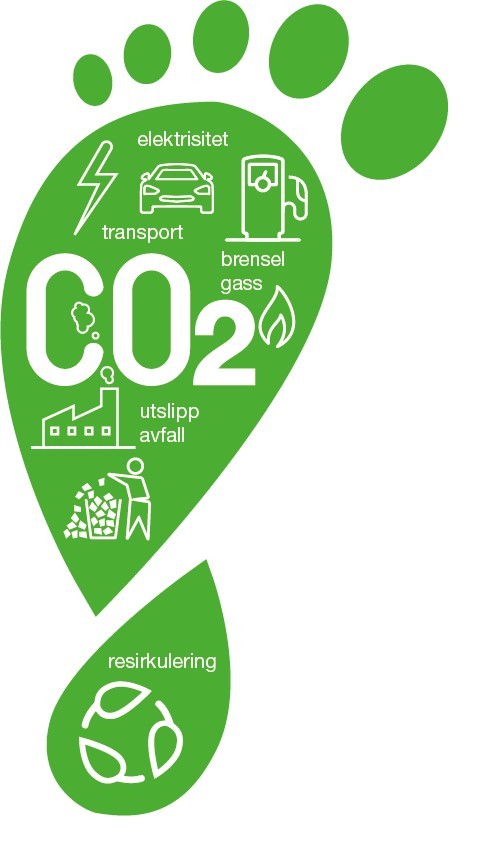 CARBON FOOD_NO_NEW.jpg
