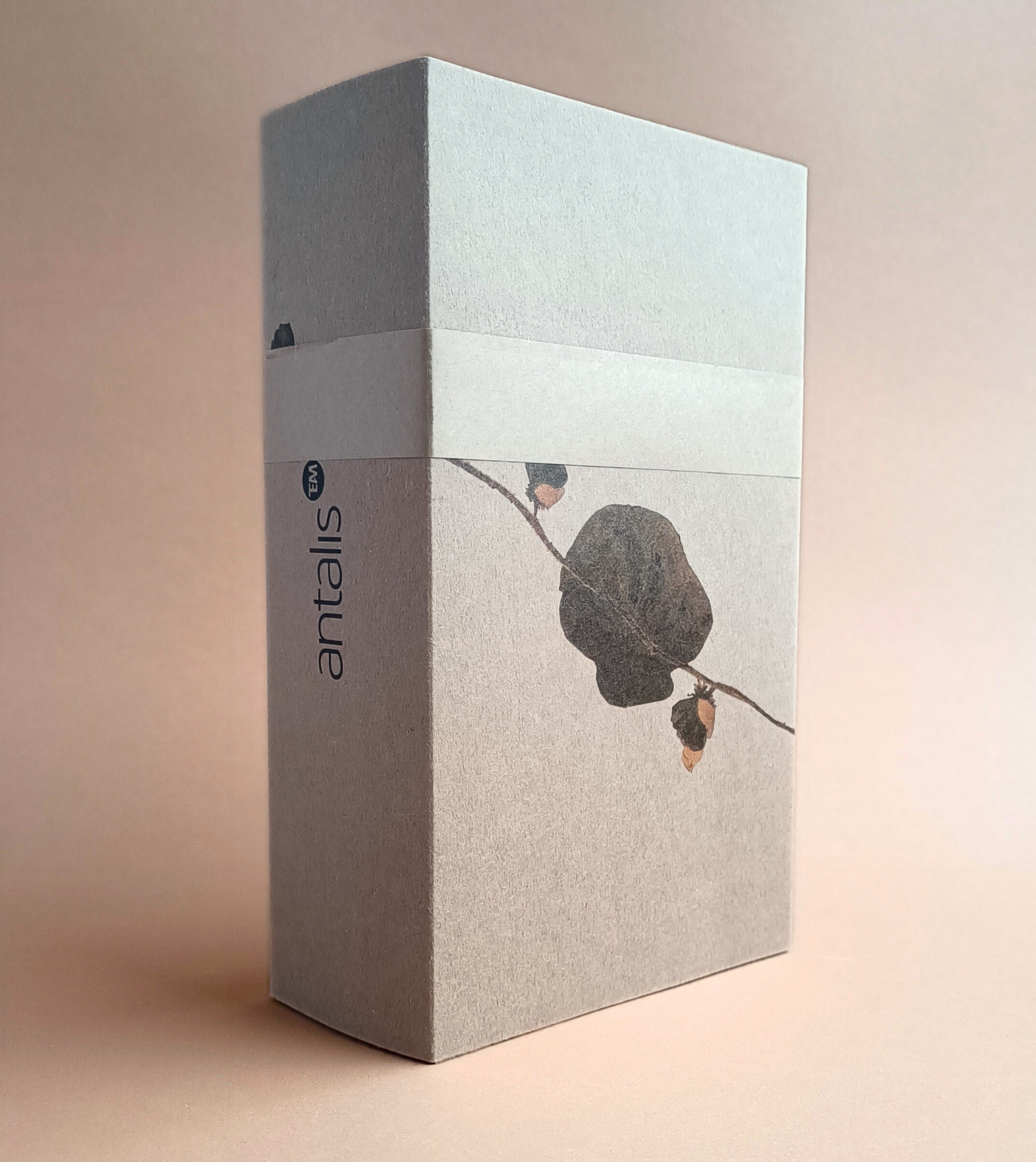 Antalis Gift Box 1562 x 1752.png
