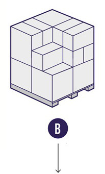 pall-b.jpg