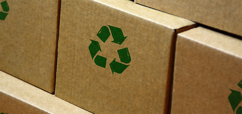 4-ideas-for-eco-friendly-packaging-header.jpg