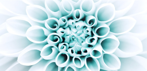 CYCLUS-Visuels-580x280px-ACompleteRange.jpg
