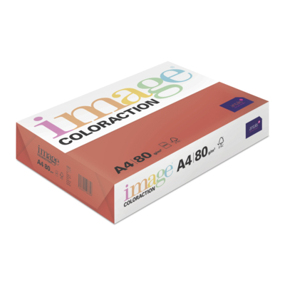 Image Coloraction