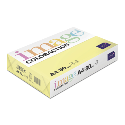 Image Coloraction