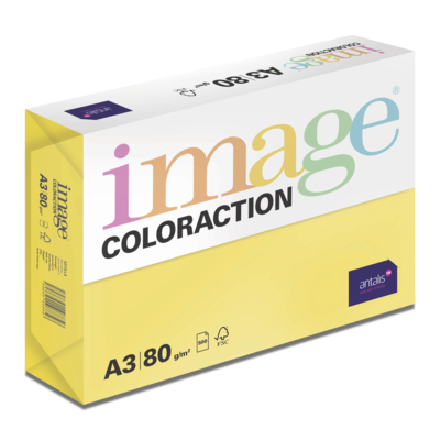 Image Coloraction
