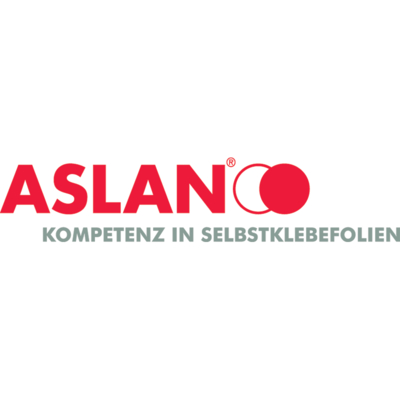 Aslan MP300 R13