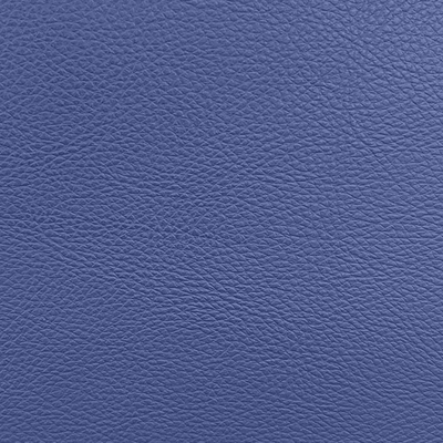 Coala Interior Film Leather