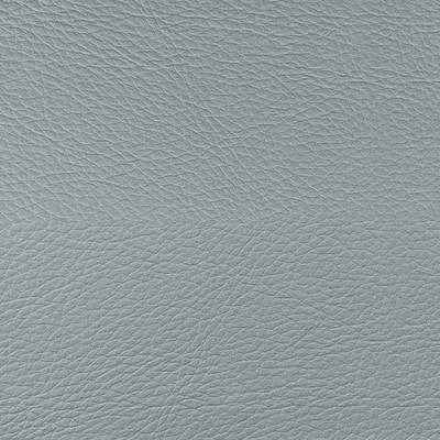 Coala Interior Film Leather