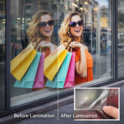 Coala View 2D Lam & Print