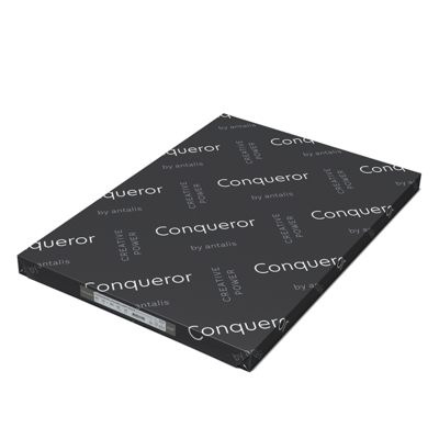 Conqueror CX22