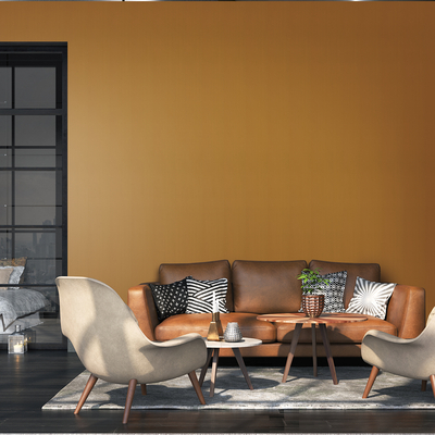 Coala Interior Film Steel