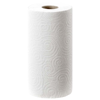 Håndtørkepapir Tork