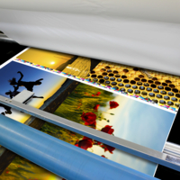 Pentaprint Digital Silk