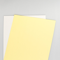 Xerox Carbonless rett sorterte
