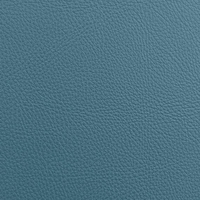 Coala Interior Film Leather