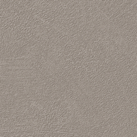 Coala Interior Film Concrete