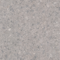 Coala Interior Film Stone