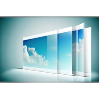 Coala Mount Adhesive