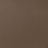 Coala Interior Film Leather